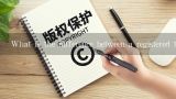 What is the difference between a registered trademark and a trademark application?