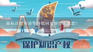 商标注册申请等待驳回复审什么意思？