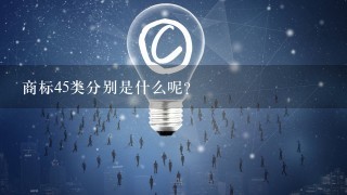 商标45类分别是什么呢？