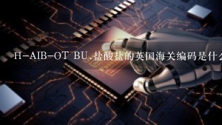 H-AIB-OT BU.盐酸盐的英国海关编码是什么？