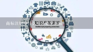 商标注册中什么叫马德里商标