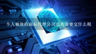 个人独资的商标代理公司总共需要交什么税