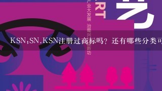 KSN;SN.KSN注册过商标吗？还有哪些分类可以注册？