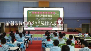 哈利波特中的RAB是什么意思？