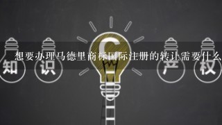 想要办理马德里商标国际注册的转让需要什么资料？