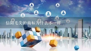 信阳毛尖的商标为什么不1样