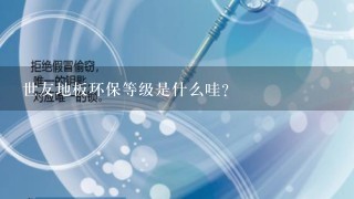 世友地板环保等级是什么哇？