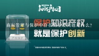 商标管理与保护中存在的主要问题是什么？