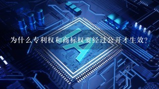 为什么专利权和商标权要经过公开才生效？