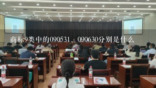 商标9类中的09053<br/>1、090630分别是什么