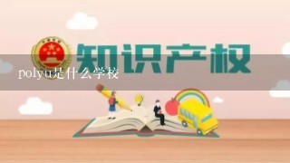 polyu是什么学校