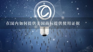 在国内如何提供美国商标提供使用证据