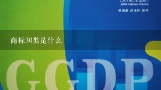 商标30类是什么