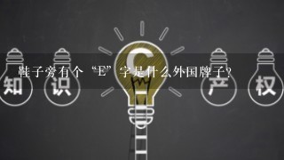 鞋子旁有个“E”字是什么外国牌子？