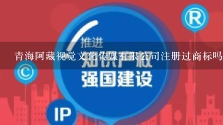 青海阿藏视觉文化传媒有限公司注册过商标吗？还有哪些分类可以注册？