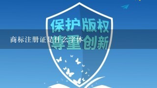 商标注册证是什么字体