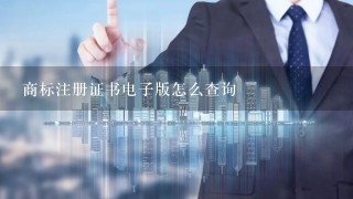 商标注册证书电子版怎么查询