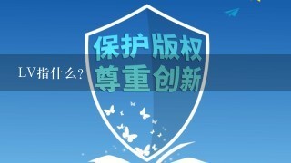 LV指什么?