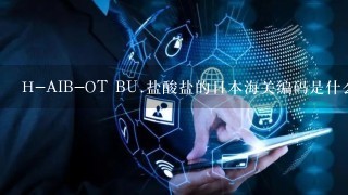 H-AIB-OT BU.盐酸盐的日本海关编码是什么？