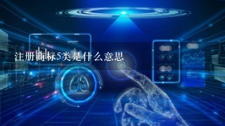 注册商标5类是什么意思