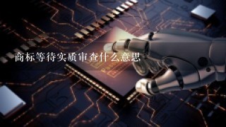 商标等待实质审查什么意思