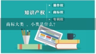 商标大类 、小类是什么？