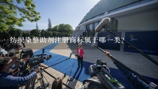 纺织染整助剂注册商标属于哪1类？