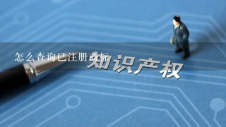 怎么查询已注册商标