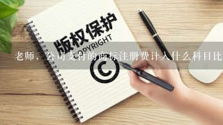 老师，公司支付的商标注册费计入什么科目比较好？