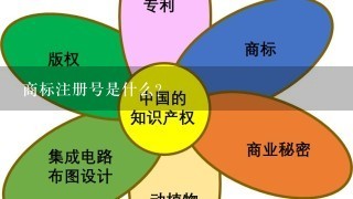 商标注册号是什么？