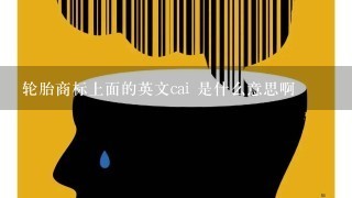 轮胎商标上面的英文cai 是什么意思啊