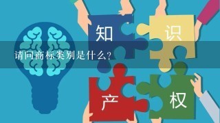 请问商标类别是什么？