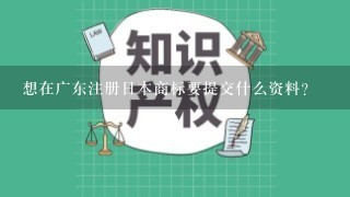 想在广东注册日本商标要提交什么资料？