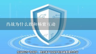 肖战为什么敢和杨紫互动