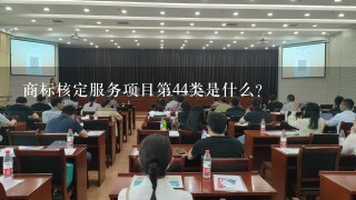 商标核定服务项目第44类是什么?