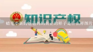 蜡笔小新的爸爸妈妈真正的样子是什么样图片