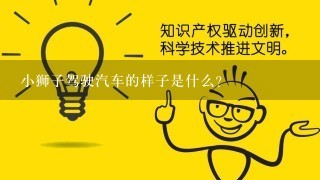 小狮子驾驶汽车的样子是什么?