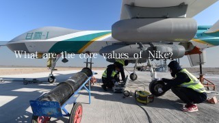 What are the core values of Nike?